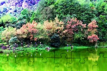 綠草如茵的風景