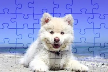 Eskimo Puppy jigsaw puzzle