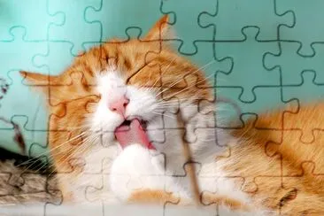 This Cat is Super! jigsaw puzzle