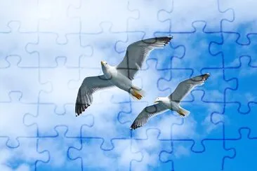 Two Pigeons Blue Sky jigsaw puzzle