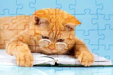 Cute Business Cat jigsaw puzzle