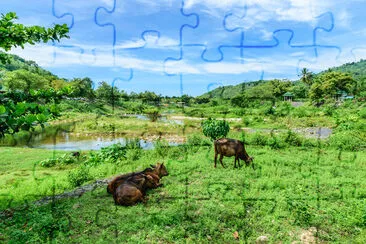 Keereewong village Thailad jigsaw puzzle