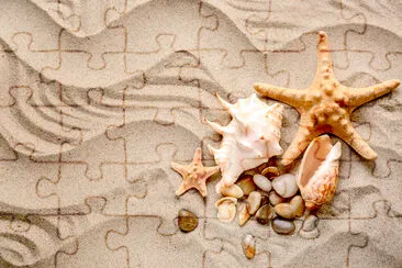 Seashells and Starfishes jigsaw puzzle