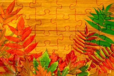 Autumn leaves on a wooden table jigsaw puzzle