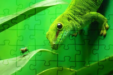 Green Gecko Lizard jigsaw puzzle