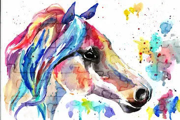 Pintura colorida del caballo