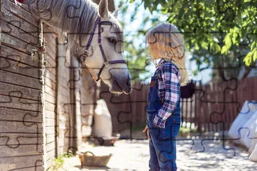 Ragazzo che guarda un cavallo bianco