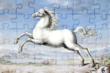 Caballo blanco pintado por Joris Hoefnagel