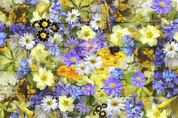 Flower background jigsaw puzzle