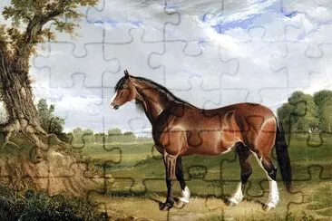 Una pintura de semental Clydesdale