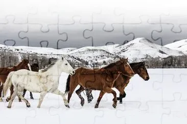 A mixed herd of wild and domesticated horses jigsaw puzzle