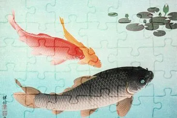 Common and Golden Carp jigsaw puzzle