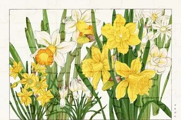 Pintura em xilogravura de narcisos