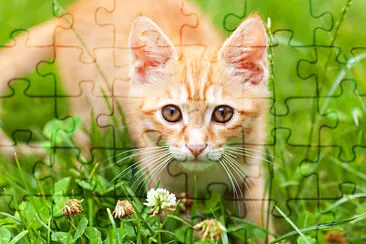 Free cat puzzles best sale