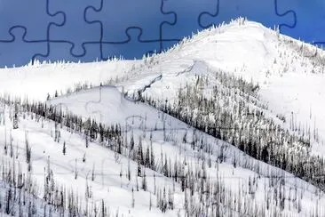 Apgar Mountain jigsaw puzzle