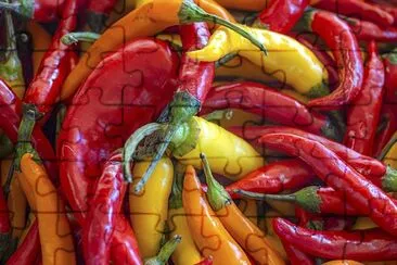 Hot Peppers - Pimentão Fresco