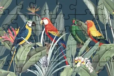 Colorful Macaws jigsaw puzzle