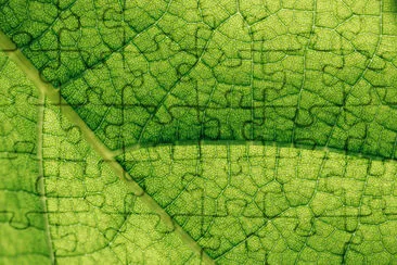 Macro texture of natural jigsaw puzzle