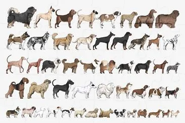 So Many Dogs jigsaw puzzle