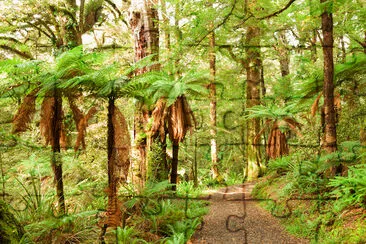 Foresta pluviale con alberi di felce