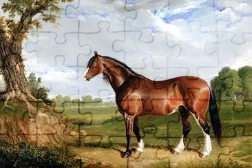 Um garanhão Clydesdale (1820)