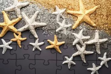 Starfish Glitters jigsaw puzzle