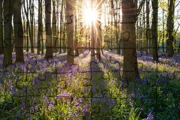 Giorno di primavera