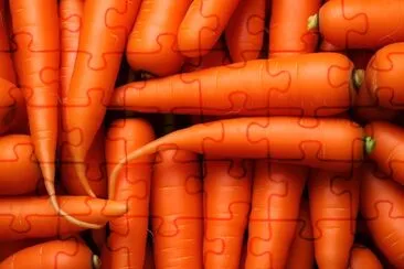 Carrots for Everyone  jigsaw puzzle