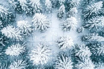 Snow Covered Forest jigsaw puzzle