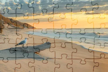 Calm Morning at the Beach jigsaw puzzle