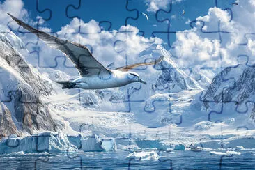 Albatross's Antarctic Adventure jigsaw puzzle