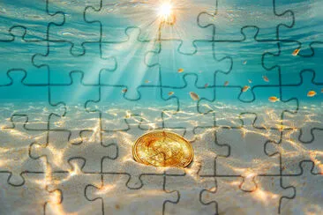 Glimmering Ocean Treasure jigsaw puzzle