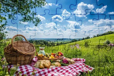 Summer Picnic in the Countryside jigsaw puzzle