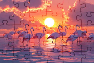 Tanzende Flamingos bei Sonnenuntergang