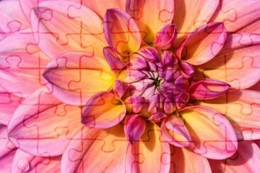 Day of the Dahlia jigsaw puzzle