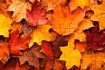 Crisp Autumn Leaves jigsaw puzzle