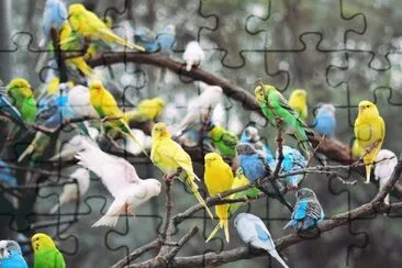 ImÃ¡genes jigsaw puzzle