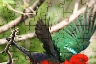 ImÃ¡genes jigsaw puzzle