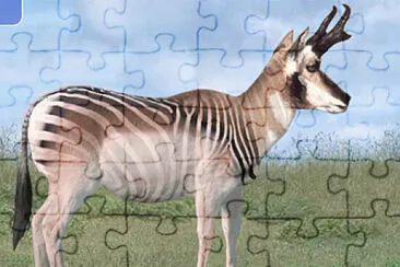 Pronghorn Zebra jigsaw puzzle