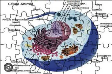 Celular amimal jigsaw puzzle