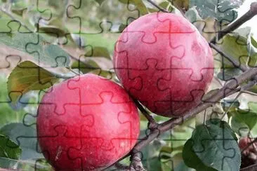 ImÃ¡genes jigsaw puzzle