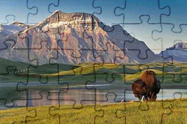 NATURALEZA jigsaw puzzle