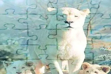 animales jigsaw puzzle