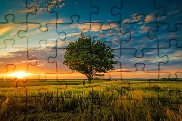 477 jigsaw puzzle