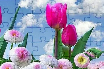 Flores jigsaw puzzle