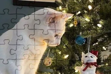 gato jigsaw puzzle