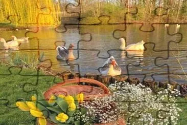 animales jigsaw puzzle