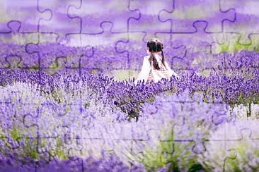  jigsaw puzzle