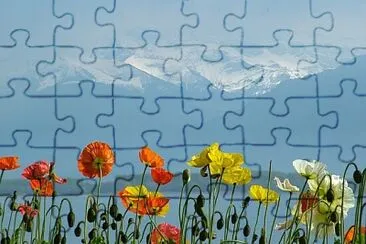  jigsaw puzzle