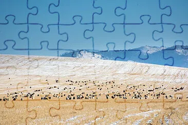 Toy jigsaw puzzle